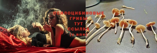 марихуана Гусев