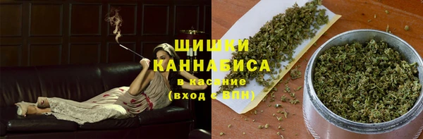 шишки Вязьма