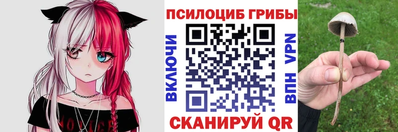 Галлюциногенные грибы Magic Shrooms Жердевка