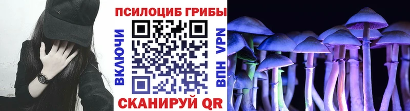 купить закладку Жердевка Псилоцибиновые грибы Magic Shrooms
